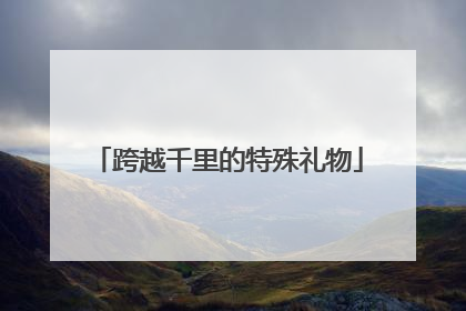 跨越千里的特殊礼物